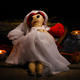 Image for article titled Self Marriage: For the Needy, Oblivious Narcissist in Your Life